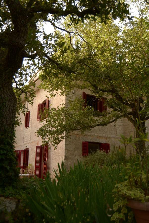Hostal Par Tot Locorotondo Exterior foto
